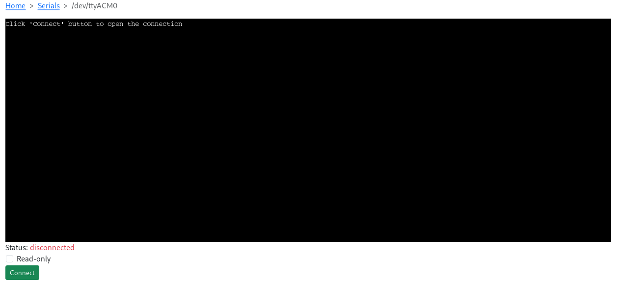 Serial console