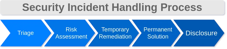 Vulnerability handling process